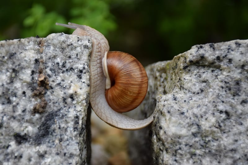 Overcoming Obstacles