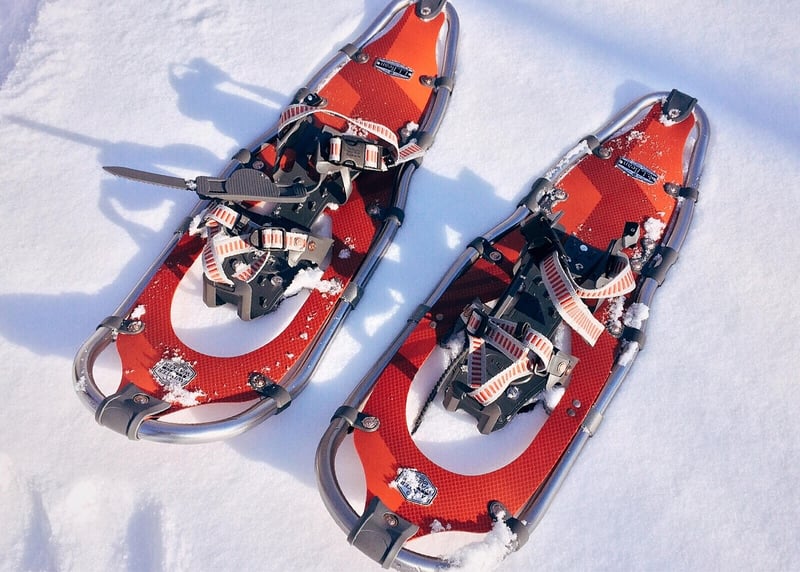 Adventure in Snowy Mountains